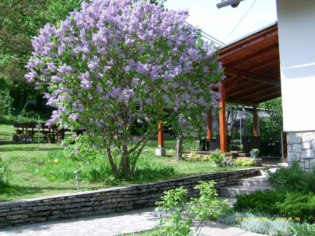 Vila Vuk Plitvicka Jezera Exterior foto