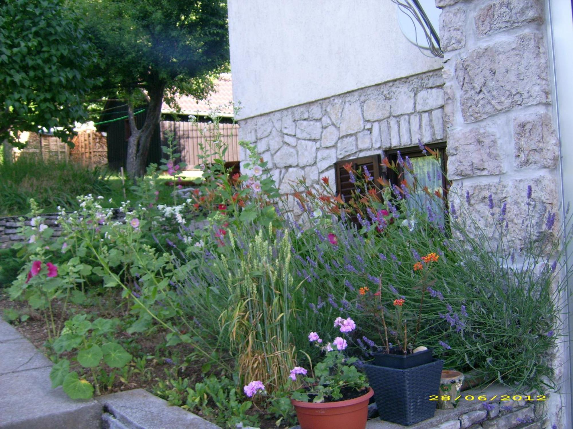 Vila Vuk Plitvicka Jezera Exterior foto